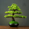 Bonsái Artificial de Pino Verde con Fuente - Decoración Feng Shui para Hogar y Oficina