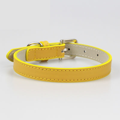 Collar de Cuero para Perro Pequeño Mediato Teddy - Image 7