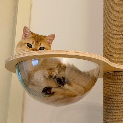 Kit DIY para Árbol Rascador de Gatos - Materiales y Accesorios