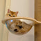 Kit DIY para Árbol Rascador de Gatos - Materiales y Accesorios