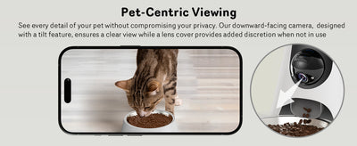Comedero Automático para Gatos con Cámara 1080P, Visión Nocturna y WiFi 5G - Image 14