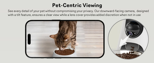 Comedero Automático para Gatos con Cámara 1080P, Visión Nocturna y WiFi 5G - Image 14