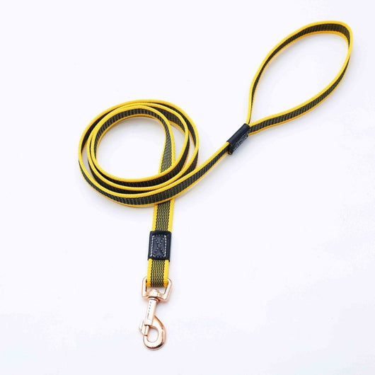 Cuerda de Entrenamiento Antideslizante para Perros Grandes - Extensible y Segura - Image 7