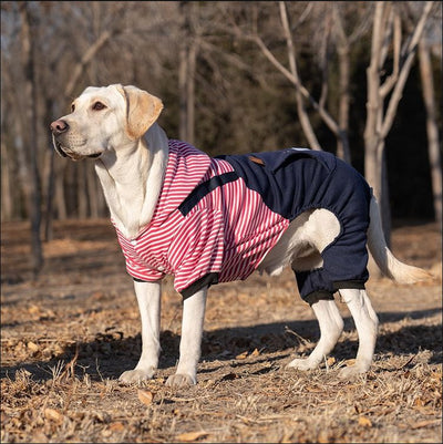 Ropa para Perros Grandes - Colección Año Completo Talla Mediana-Grande - Image 8