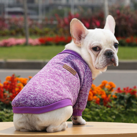Suéter Abrigado para Perros - Ropa de Invierno Otoño Dos Patas - Image 18