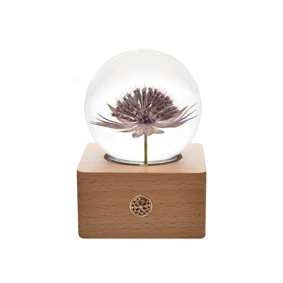 Lámpara Nocturna con Base de Madera y Flores Preservadas - Image 14
