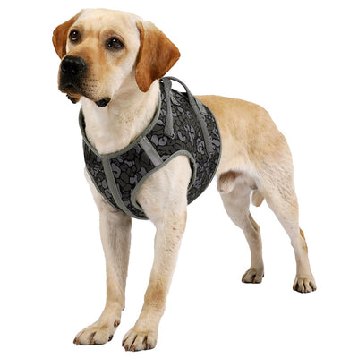 Arnés de Pecho Anti-Tracción para Perros Grandes - Cuerda de Control Talla Mediana - Image 5