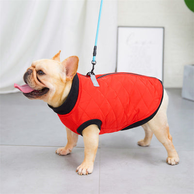 Chaleco Bucket de Algodón para Perros - Estilo Francés - Image 9