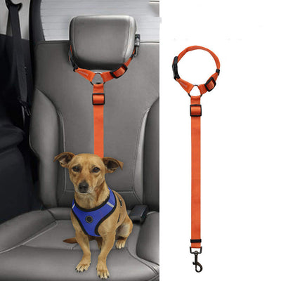 Correa de Seguridad para Mascotas en Auto - Image 10