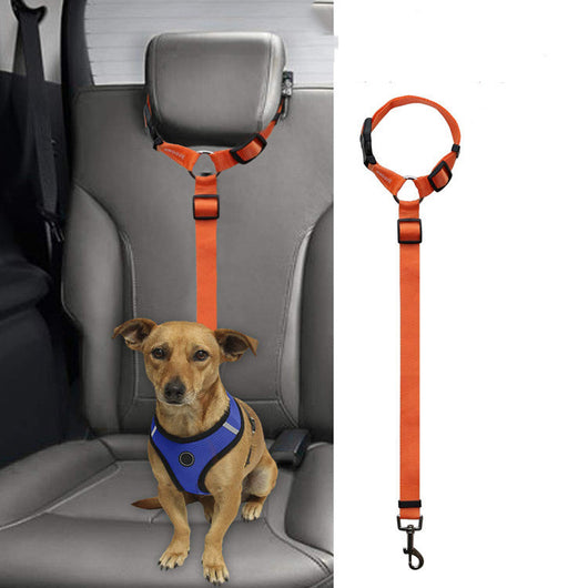 Correa de Seguridad para Mascotas en Auto - Image 10