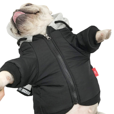 Ropa Térmica para Gatos y Perros Pequeños - Diseño Adorable de Dos Patas - Image 13