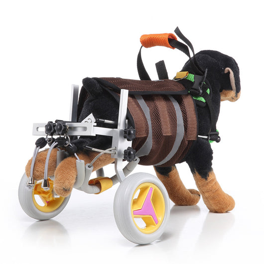 Silla de Ruedas para Perros - Scooter de Movilidad Canina - Image 14
