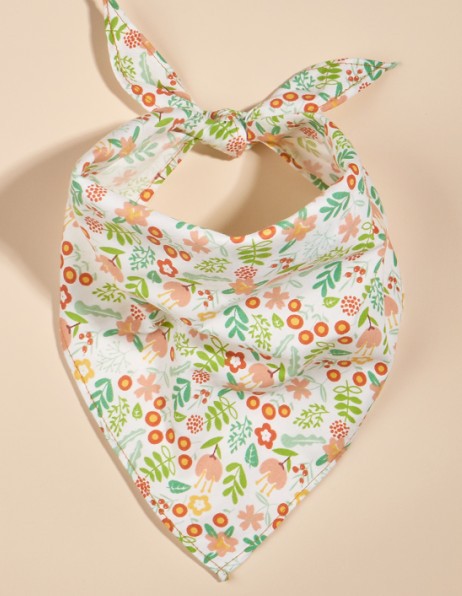 Pañuelo Bandana Absorbente para Mascotas con Diseño Frutal - Image 37
