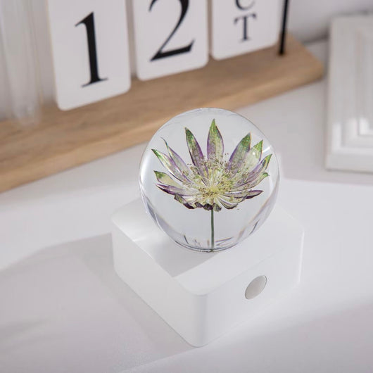 Lámpara Nocturna Pequeña Diente de León y Girasol 8cm - Decoración de Escritorio - Image 6