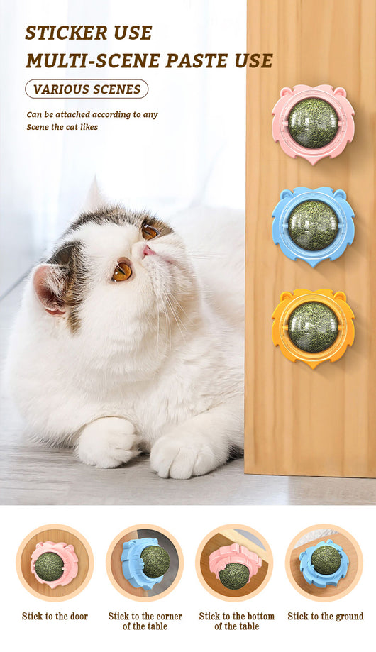 Juguete Mordedor Molar para Gatos con Hierba Gatera Adhesiva - Image 16