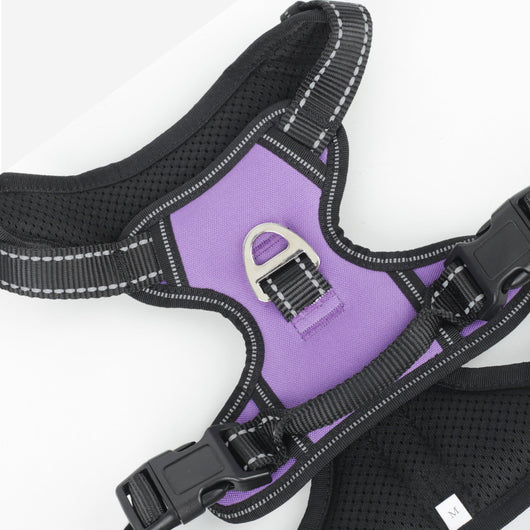 Arnés de Paseo para Perros Grandes con Cuerda de Sostén - Image 2