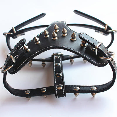 Arnés de Cuero con Tachuelas para Perros Pequeños - Chaleco Protector Negro - Image 17