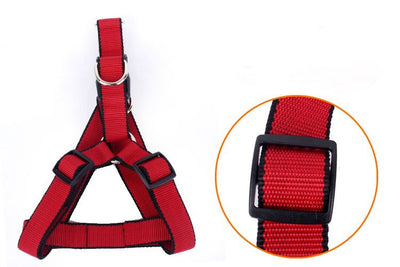 Cadena Reforzada de Tres Piezas para Perros - Image 16