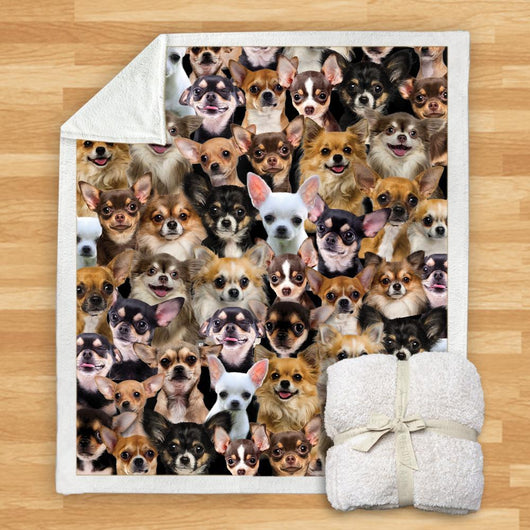 Manta Franela Estampada para Perros - Image 29