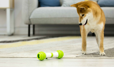 Juguete Automático para Perros Guiwei Happy Bone - Image 10