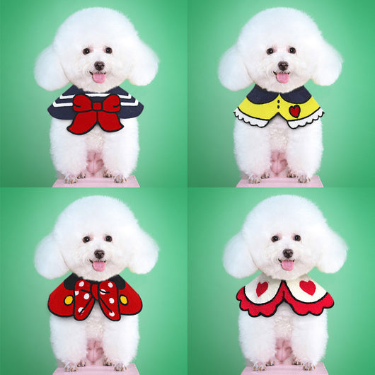 Collar para Mascotas Ajustable y Seguro - Image 11