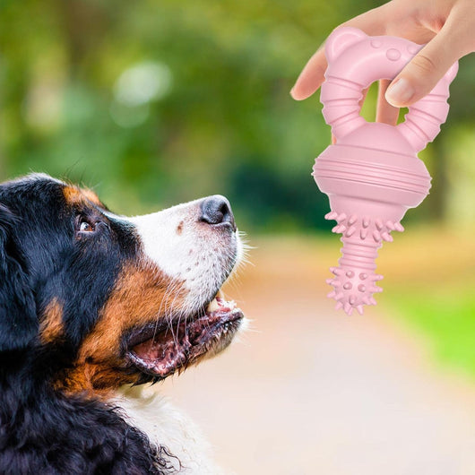 Juguete Masticable de Goma para Limpiar Dientes - Mordedor Resistente para Perros Grandes - Image 16