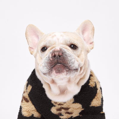 Playera de Pana Gruesa y Cálida para Mascotas - Image 5