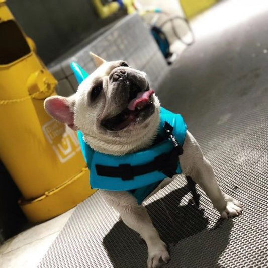 Chaleco Salvavidas para Perros - Traje de Baño Protector para Mascotas - Image 2