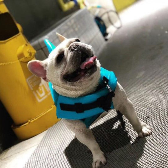 Chaleco Salvavidas para Perros - Traje de Baño Protector para Mascotas