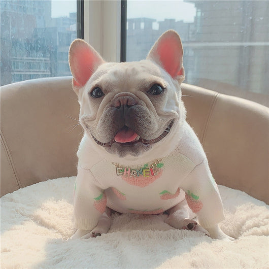 Ropa Estampada Melocotón para Perros y Gatos - Image 11