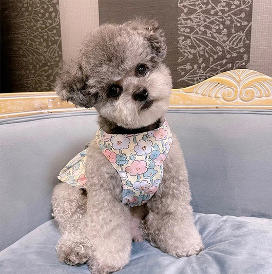 Falda de Algodón para Perro Azul y Blanco con Correa de Mano - Image 4