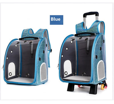 Mochila Transportadora Transparente Plegable para Perros Pequeños con Bolsillo Pañales - Image 26
