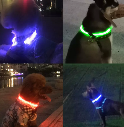 Collar Luminoso para Perros - Prevención de Pérdida - Image 5