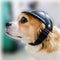 Casco de Protección para Mascotas - Seguridad para Perros y Gatos