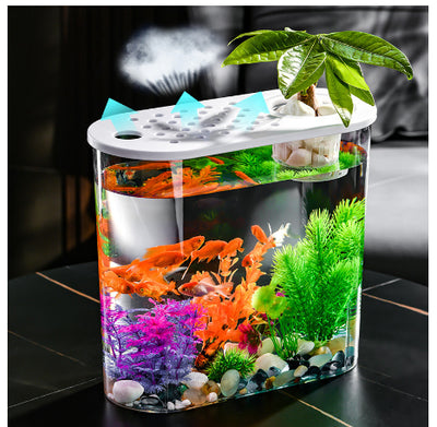Pecera Ecológica de Acrílico Transparente para Peces de Agua Fría - Image 10