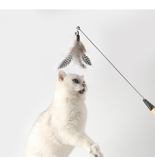 Juguete Interactivo para Gatos con Plumas y Campana - Cabezal Reemplazable - Image 14