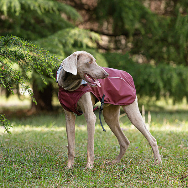 Impermeable para Mascotas Talla Mediana y Grande - Portátil y Universal - Image 12