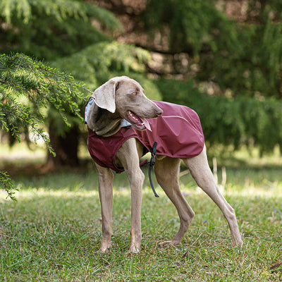 Impermeable para Mascotas Talla Mediana y Grande - Portátil y Universal - Image 12