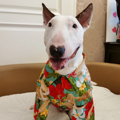 Playera Hawaiana con Patrón de Gato y Perro - Diseño Tropical Moderno - Image 10