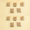 Gato Grass Seeds 10Bag