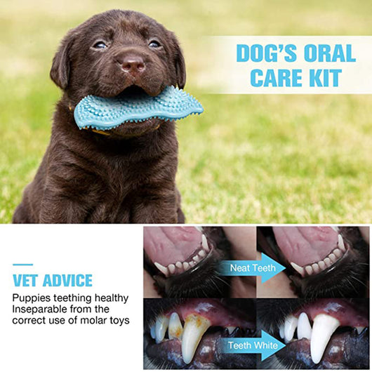 Light green pea pod shaped dog chew toy with textured nubs for teeth cleaning and bite resistance. - Image 4