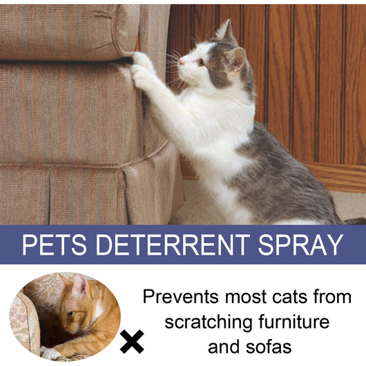 Spray Repelente Anti-arañazos para Perros y Gatos - Protege Puertas y Muebles - Image 19