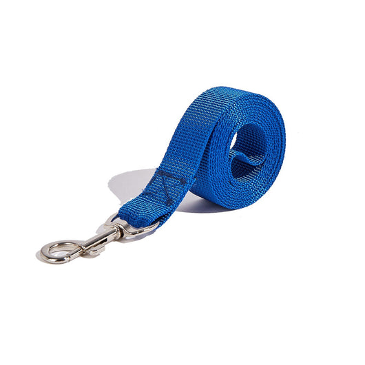 Correa Portátil con Asidero para Perros - Collar de Paseo Seguro - Image 6