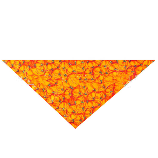Saliva de Pavo para Mascotas - Snack Thanksgiving - Image 12
