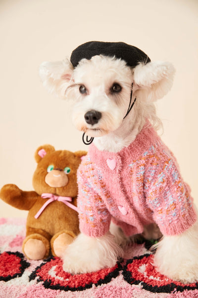 Cardigan Tejido para Perras Otoño e Invierno - Suéter Colorido - Image 13