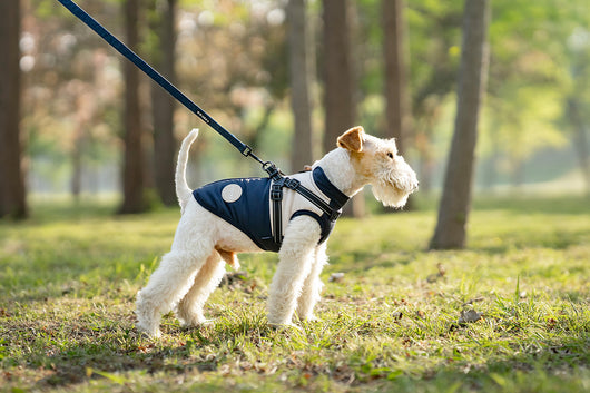 Chaleco Térmico Protector para Perros - Image 14