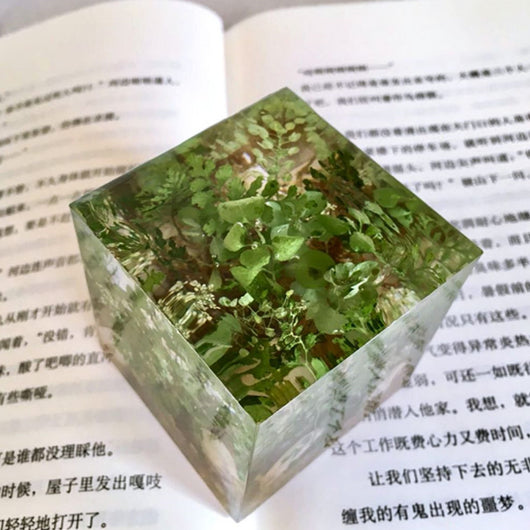 Cubo de Plantas Secas con Flores Deshidratadas y Musgo Natural - Image 3