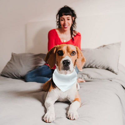 Bufanda Térmica Ajustable para Perros con Personalización por Transferencia - Image 11