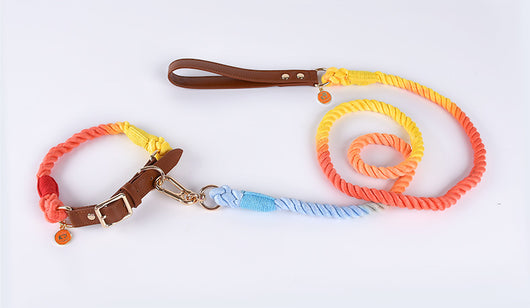 Juego de Collar y Correa para Perros Medianos y Grandes en Cuero y Algodón Tejido - Image 33