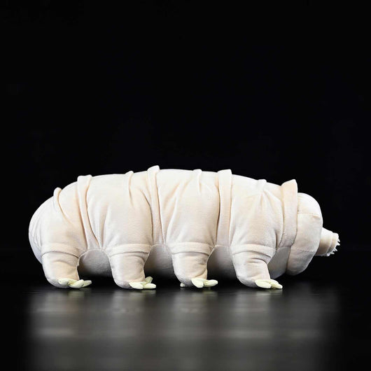 Muñeco Dinosaurio Adorable con Peluches Suaves - Image 9